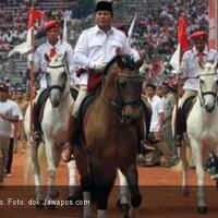 prabowo-bakal-tunggangi-kuda-menuju-tps