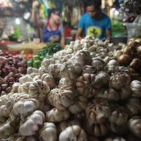 fokus-ke-beras-bulog-diminta-tak-ikut-impor-bawang-putih