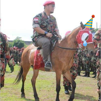 simak-hasil-quick-count-pemilu-2019-di-microsite-kaskus-nyoblosgan