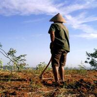 kementan-imbau-petani-mewaspadai-datangnya-el-nino
