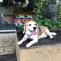 eggi-sudjana-tak-terima-jokowi-menang-people-power-adalah-cara-allah-agar-prabowo