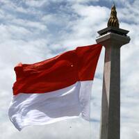 saatnya-mengubur-cebong-dan-kampret