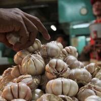 sehari-pasca-pemilu-terbit-izin-impor-100000-ton-bawang-putih