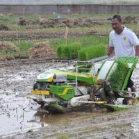 transplanter-jadi-andalan-ditjen-psp-tingkatkan-produksi-pertanian