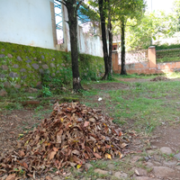 sampah-bisa-jadi-uang