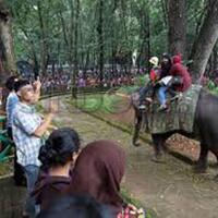 long-weekend-8353-orang-padati-taman-marga-satwa-ragunan