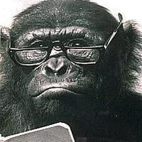 tukang-dagang-jualannya-rame-waktu-mau-beli-malah-dimarahin