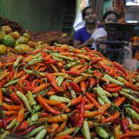 harga-cabai-rawit-di-gorontalo-kembali-normal