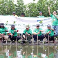 cegah-abrasi-astra-tol-tanam-3000-pohon-mangrove-di-pesisir-banten-utara