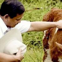 saking-cinta-hewan-prabowo-disebut-bisa-ajak-ngobrol-semut