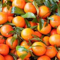 manfaat-buah-jeruk-untuk-kesehatan