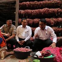 harga-bawang-melonjak-mentan-fokus-tingkatkan-produksi