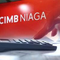 laba-bersih-cimb-niaga-naik-76-di-kuartal-i-2019