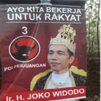 isyarat-politik-sri-sultan-hb-ix-untuk-prabowo