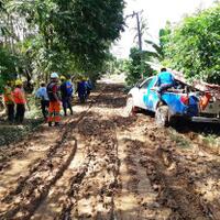 pln-terjunkan-230-personil-pulihkan-kelistrikan-di-bengkulu