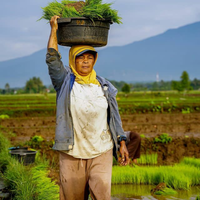 kapankah-petani-bisa-naik-kelas