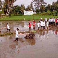 ditjen-psp-berharap-semua-petani-bisa-mengoperasikan-alsintan