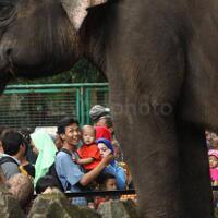 libur-may-day-35121-pengunjung-padati-kebun-binatang-ragunan