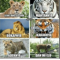 cowo-itu-harus-yakin-gayus-ngak-boleh-masuk