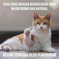 bicara-soal-islam-garis-keras-dahnil-anzar-disamakan-dengan-vicky-prasetyo