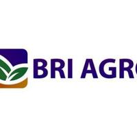 digitalisasi-dan-sinergi-jadi-kunci-menilik-potensi-saham-agro