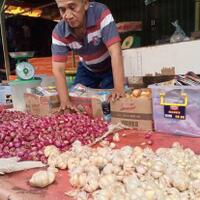 di-bengkulu-utara-harga-bawang-putih-hampir-setara-harga-daging-sapi