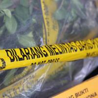 tangkap-4-pengedar-di-depok-bnn-sita-350-kg-ganja