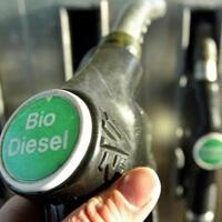 hip-mei-2019-harga-biodisel-turun-bioetanol-naik-tipis