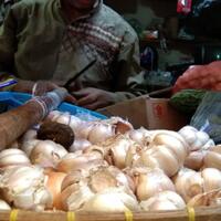 bawang-putih-mahal-dki-impor-dari-china