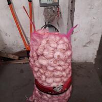 yang-usaha-jual-bawang-merah-putih-dllmasuk-gan