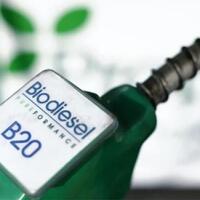akselerasi-konsumsi-biodiesel-lokal-untuk-lawan-diskriminasi-sawit-uni-eropa