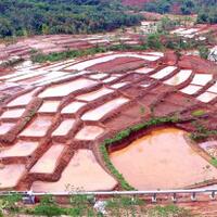 tahun-2019-kementan-targetkan-cetak-sawah-baru-6000-hektar