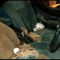 hantam-trotoar-celana-dalam-dan-bra-berserakan-di-mobil-ini