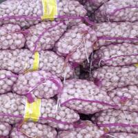 kemendag-pastikan-stok-bawang-putih-di-ritel-modern-aman