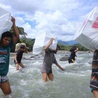 muhammadiyah-ajak-bawaslu-ungkap-penyebab-meninggalnya-ratusan-kpps