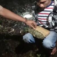 asyik-pesta-ganja-menjelang-sahur-3-pria-diringkus-polisi