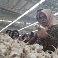 bawang-putih-impor-busuk-dijual-bebas-di-pasar-modern-di-tangsel
