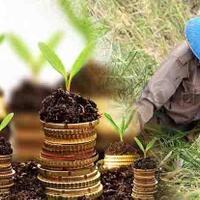 pertumbuhan-pdb-pertanian-ri-2018-melampaui-target