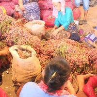 pertumbuhan-pdb-pertanian-ri-2018-melebihi-target