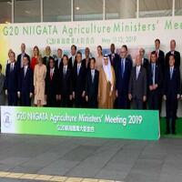 g20-apresiasi-pembangunan-pertanian-di-indonesia