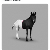 juventus-2018---2019--indojuvejofc-juvekaskus-finoallafine---part-2