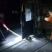 tim-animal-rescue-damkar-kobar-evakuasi-ular-piton-sepanjang-3-meter