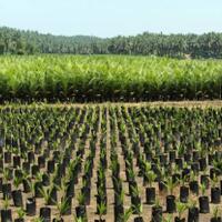 sukseskan-program-serasi-kementan-membentuk-tim-evaluasi