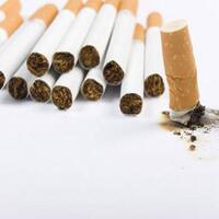 tekanan-lsm-asing-rugikan-petani-tembakau-di-indonesia