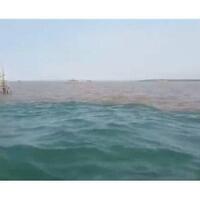 fenomena-alam-dua-warna-air-laut-terjadi-di-perairan-pasuruan