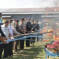 bea-cukai-lhokseumawe-musnahkan-73-ton-bawang-merah-ilegal