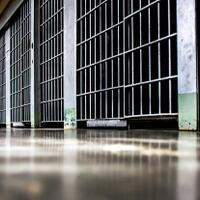 ina-yuniarti-perekam-video-ancam-jokowi-ditahan-polisi-di-sel-khusus