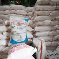 ditjen-psp-pastikan-petani-di-lampung-tetap-dapat-jatah-pupuk-subsidi