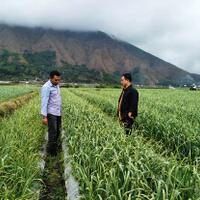 kementan-libatkan-perbankan-kejar-target-swasembada-bawang-putih