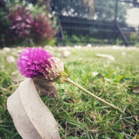 kualitas-kamera-smartphone-jelek--coba-main-aliran-foto-ini